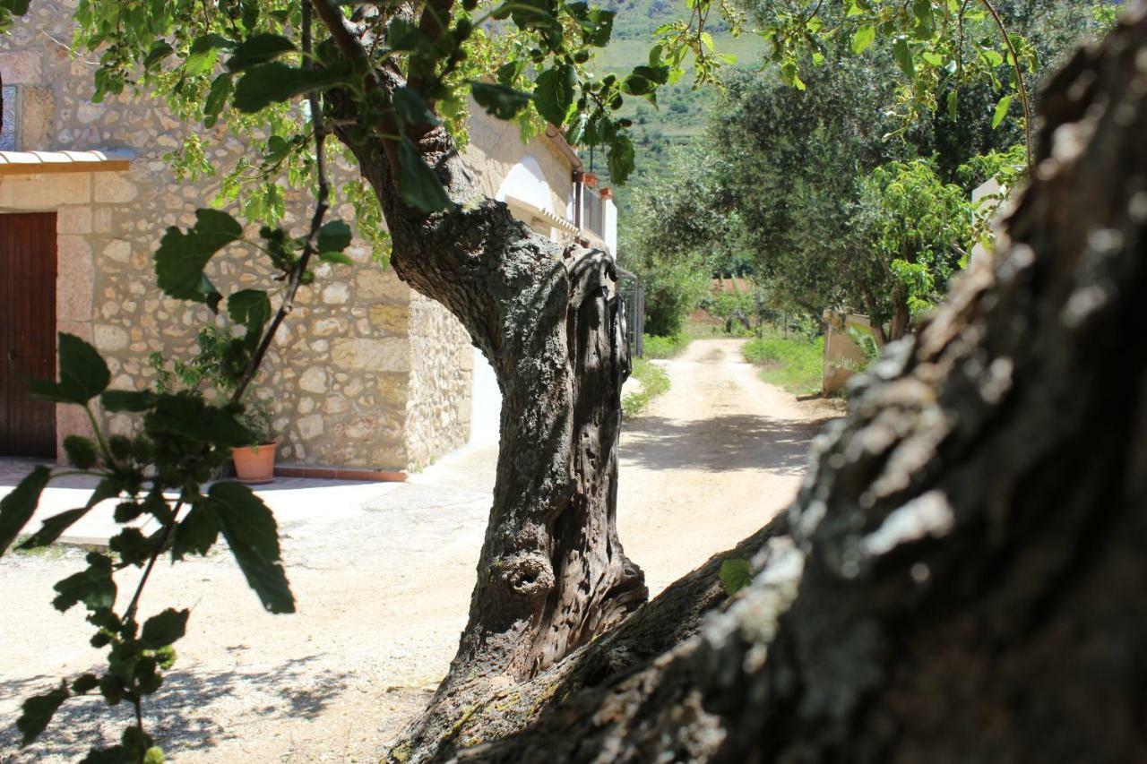 Rustici L'Antico Torchio Vila Castellammare del Golfo Exterior foto